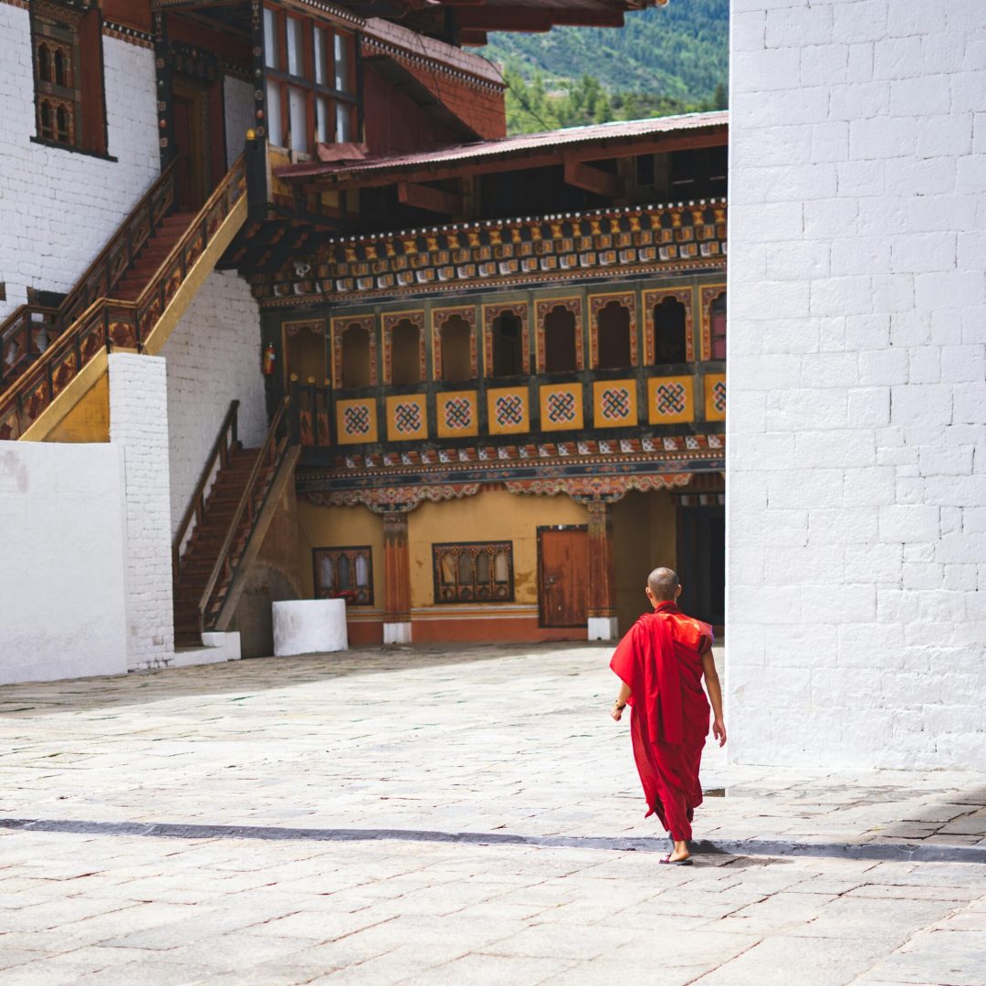 pexels-pragyanbezbo-2896958
