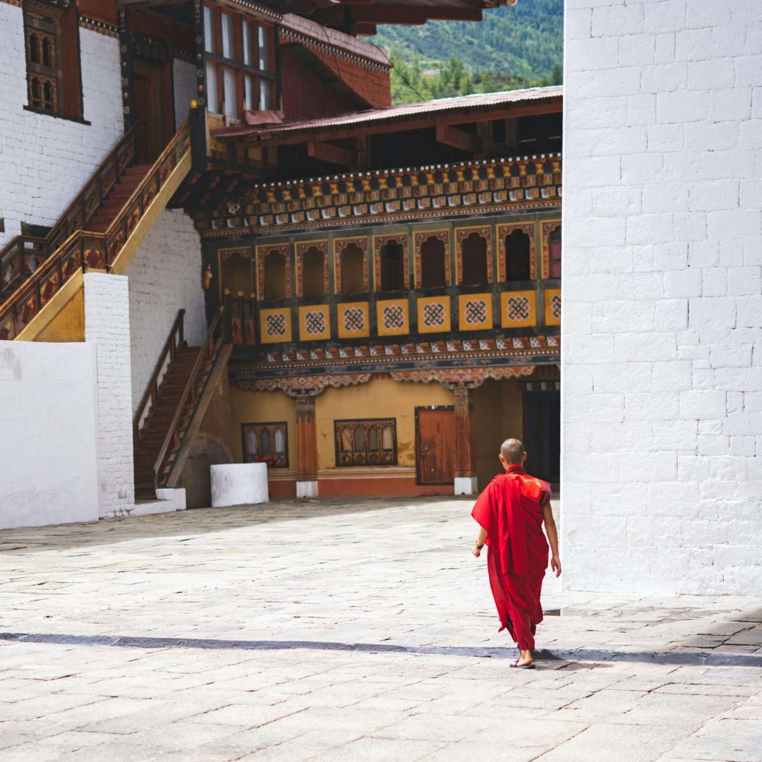 pexels-pragyanbezbo-2896958